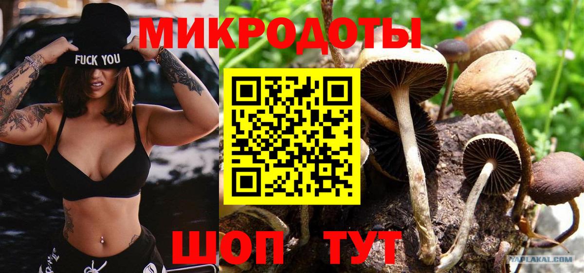Псилоцибиновые грибы Magic Shrooms  Вход с VPN  Псилоцибиновые грибы мицелий  Топки 