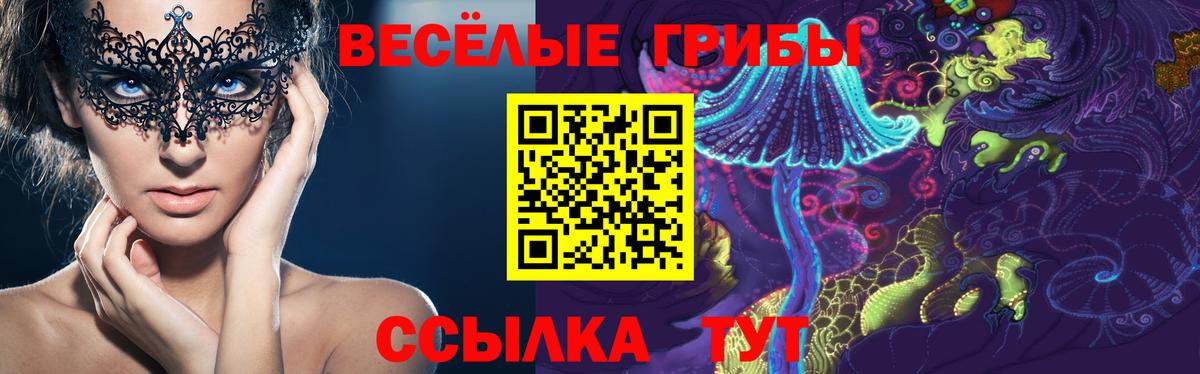 Псилоцибиновые грибы Magic Shrooms Топки